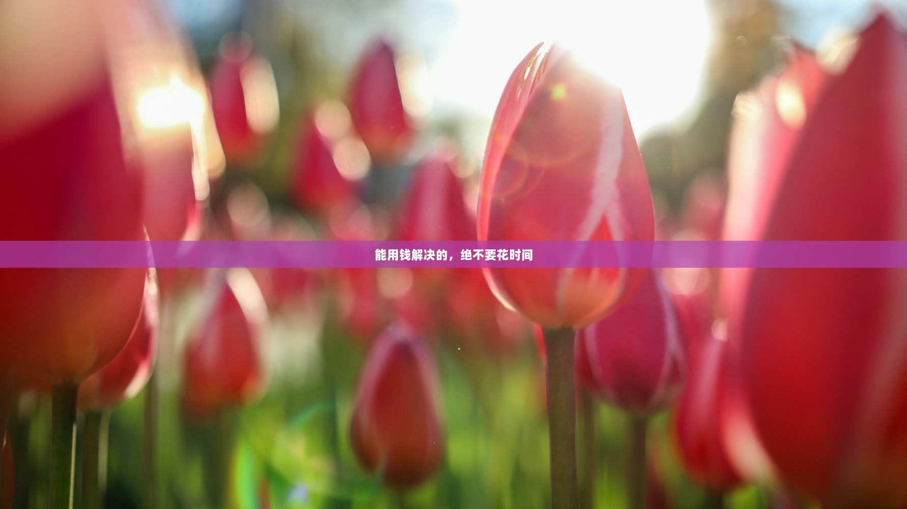 能用钱解决的，绝不要花时间