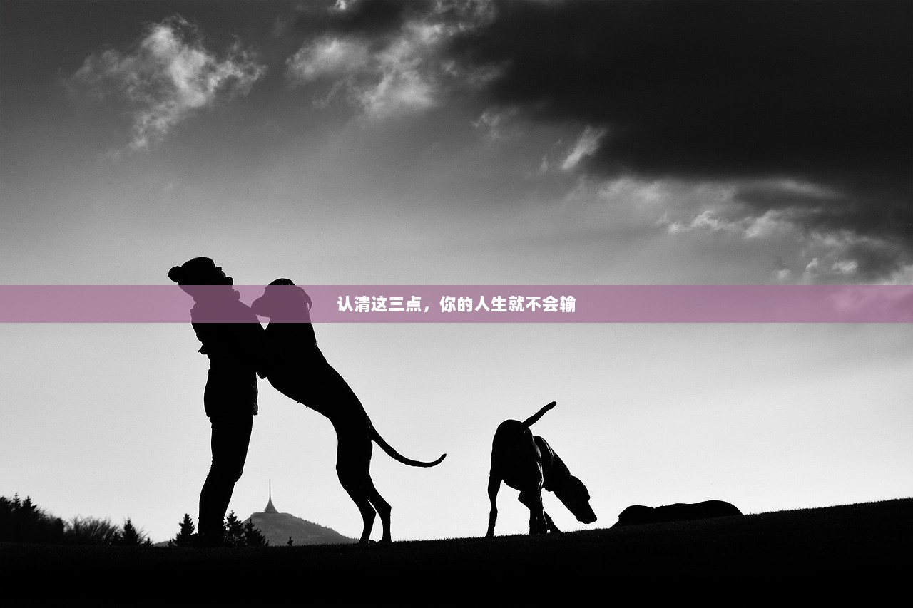 认清这三点，你的人生就不会输