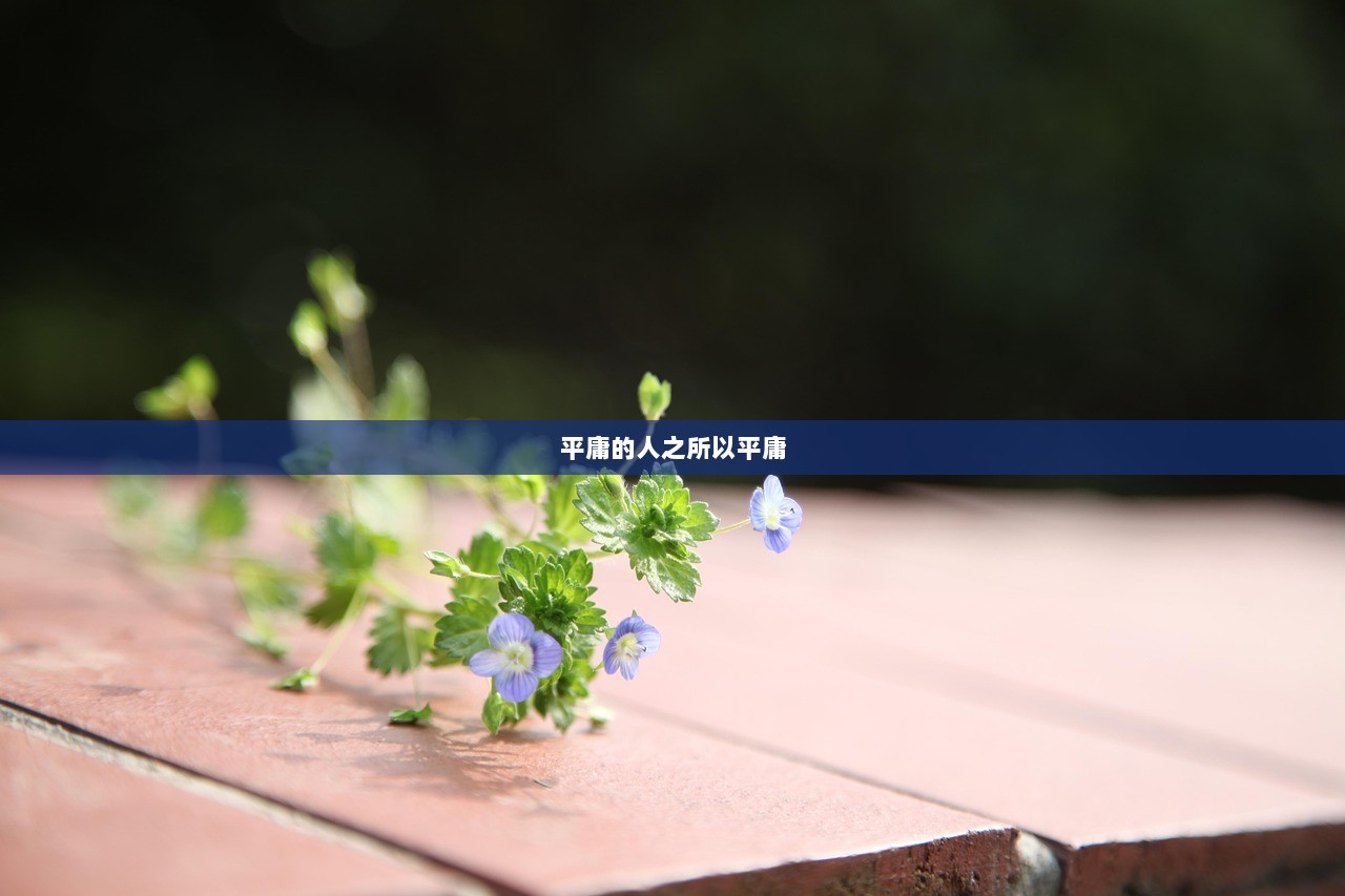 平庸的人之所以平庸