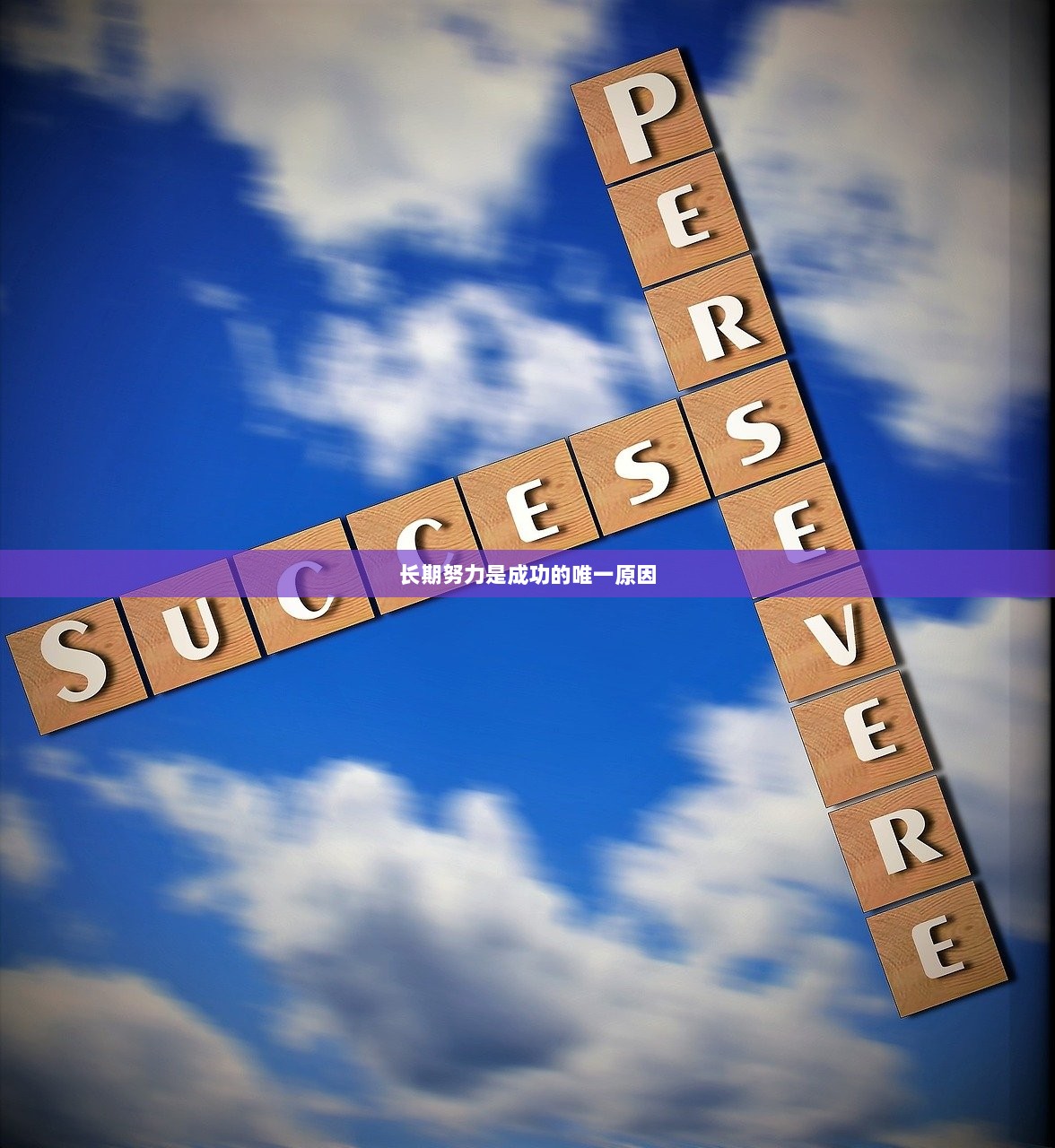 长期努力是成功的唯一原因