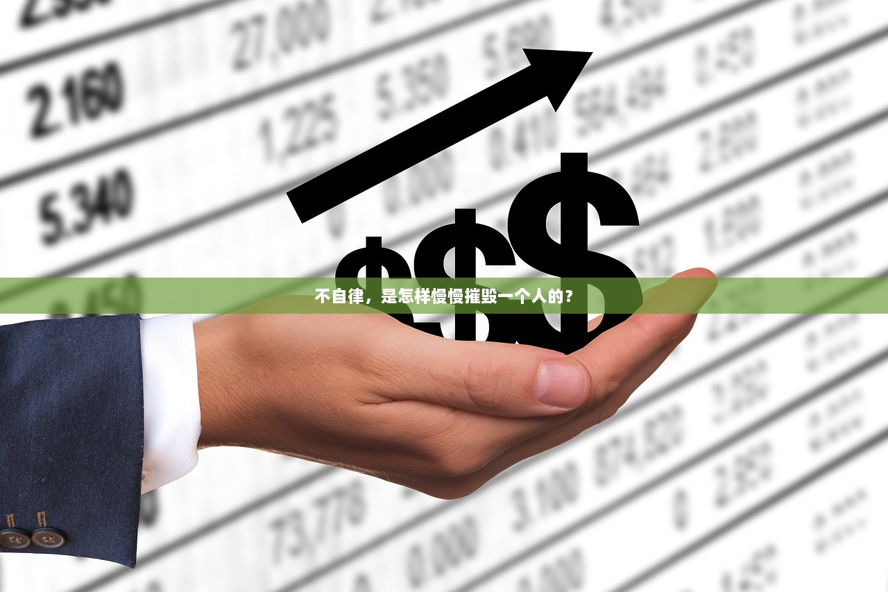 不自律，是怎样慢慢摧毁一个人的？