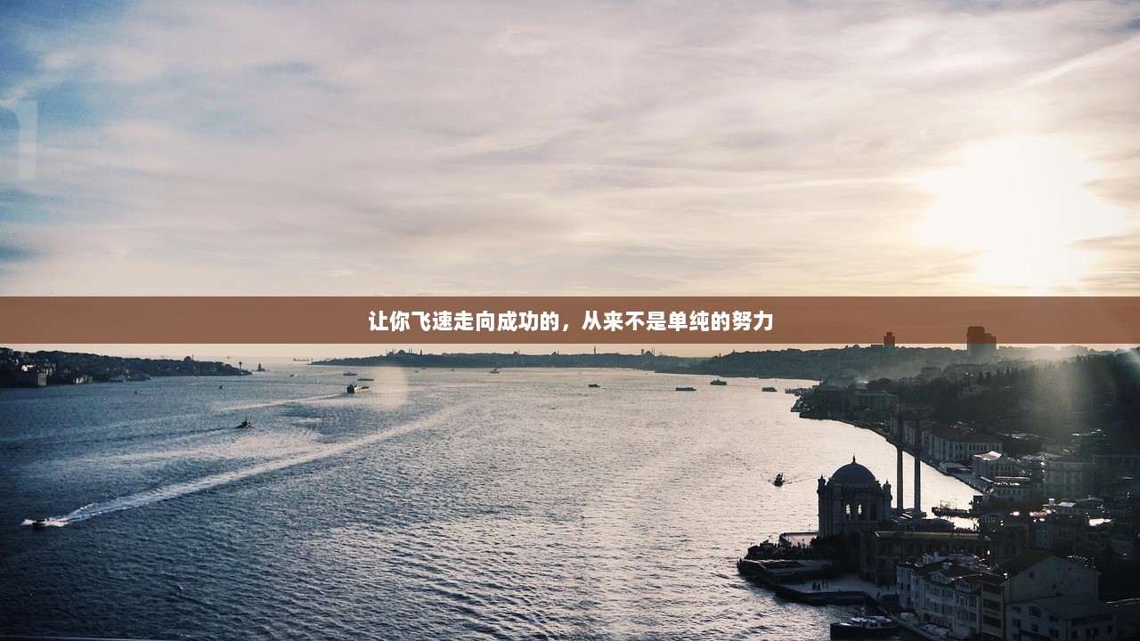 让你飞速走向成功的，从来不是单纯的努力