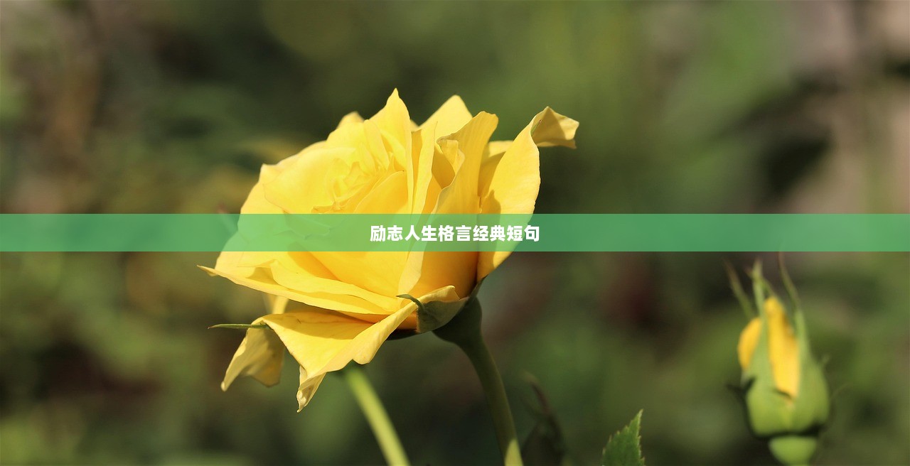 励志人生格言经典短句