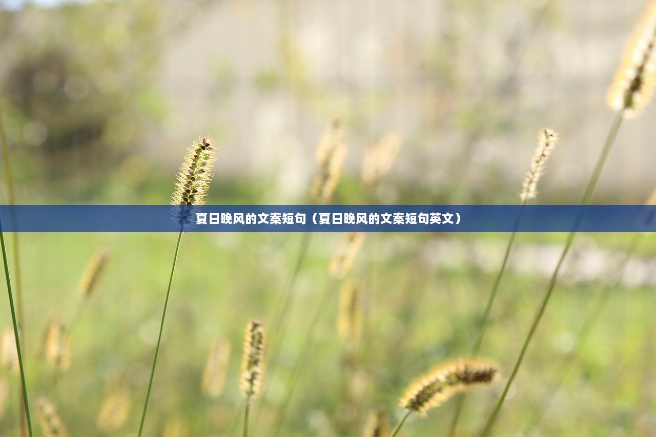 夏日晚风的文案短句（夏日晚风的文案短句英文）