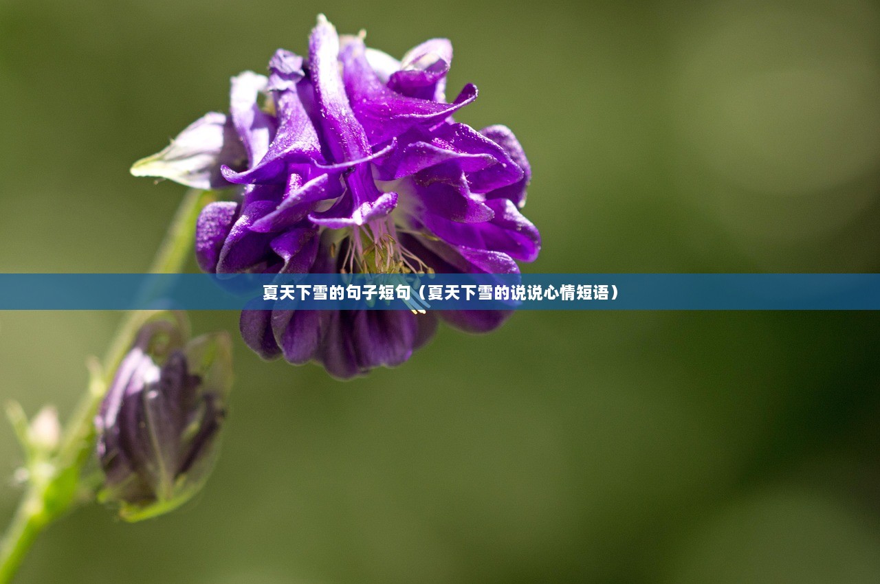 夏天下雪的句子短句（夏天下雪的说说心情短语）