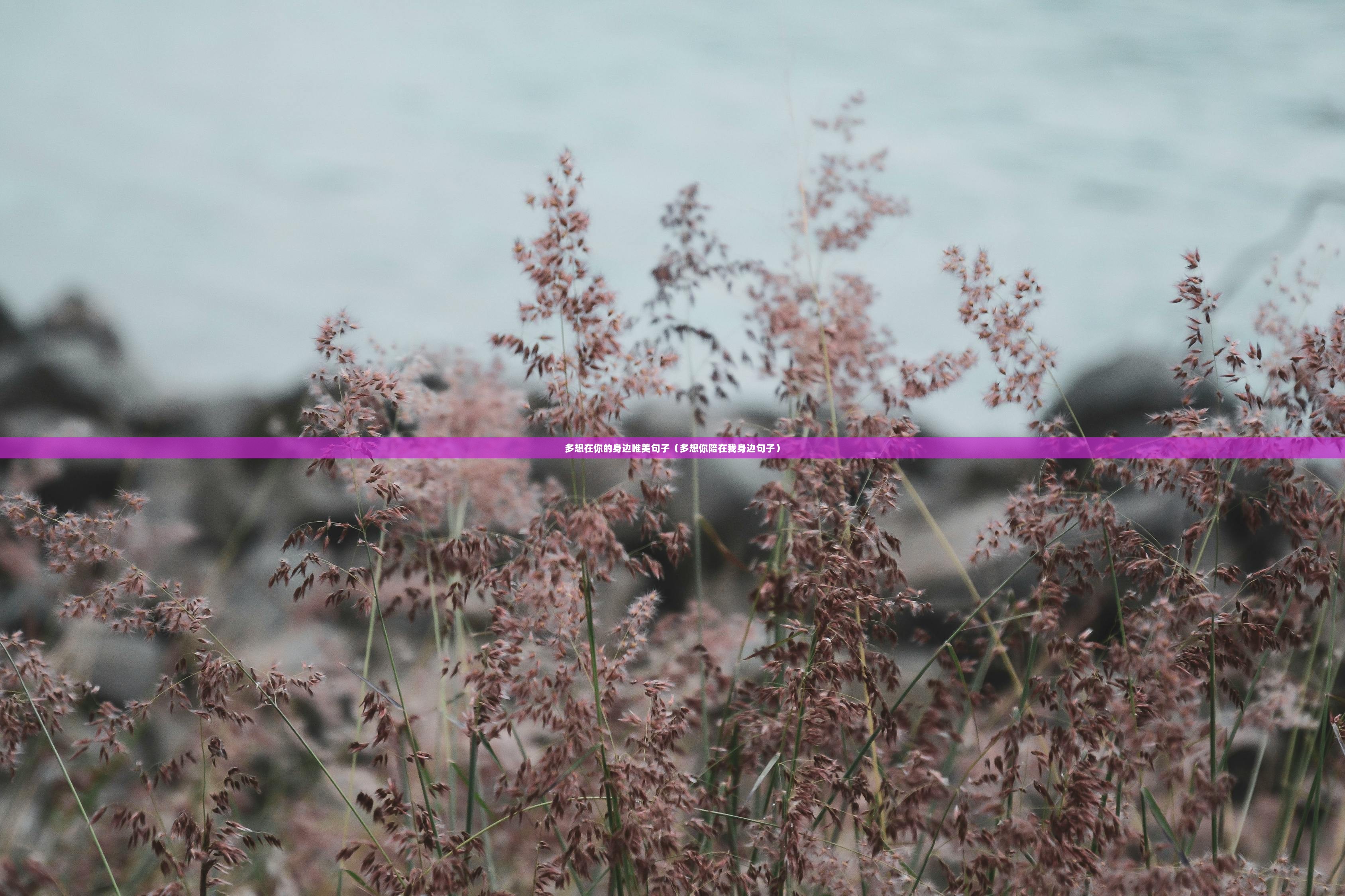 多想在你的身边唯美句子（多想你陪在我身边句子）