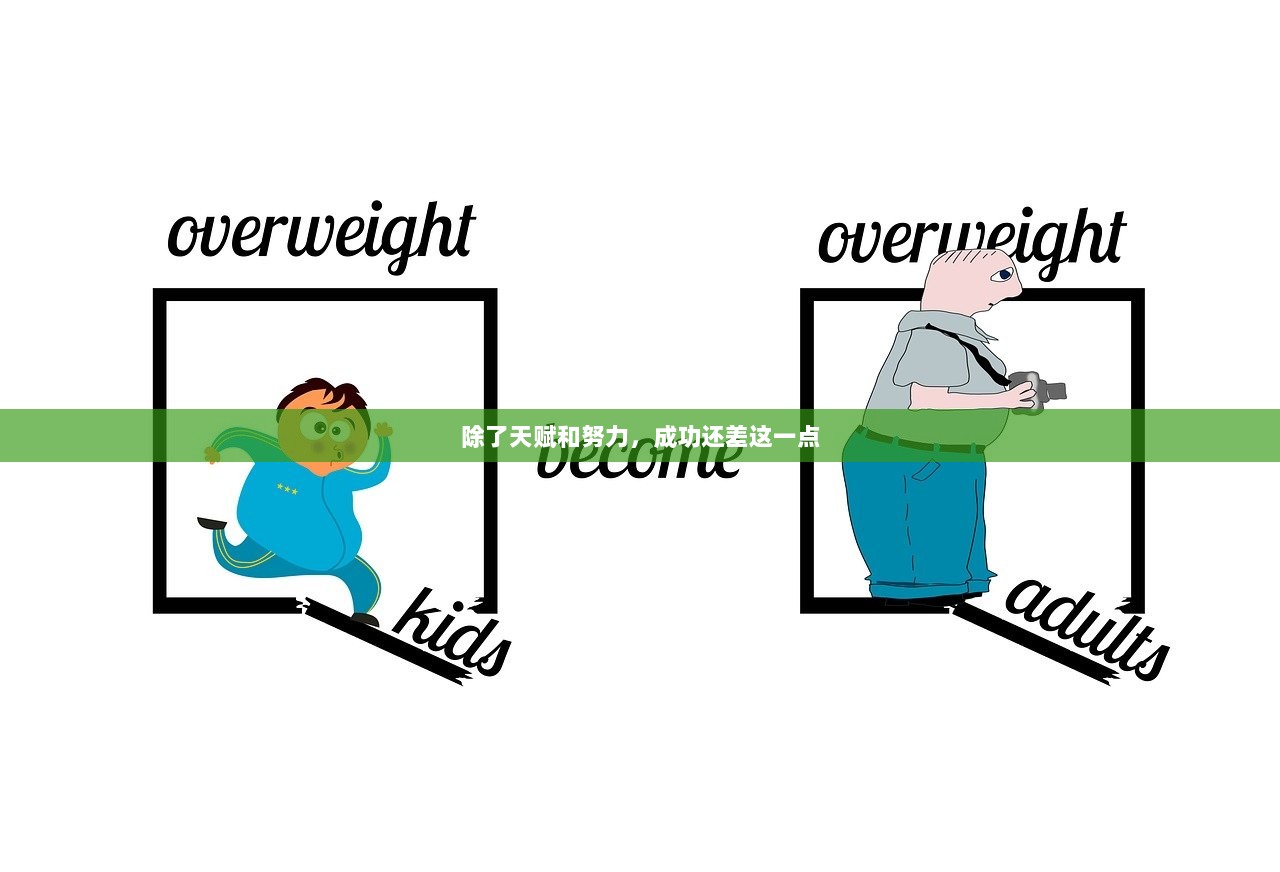 除了天赋和努力，成功还差这一点
