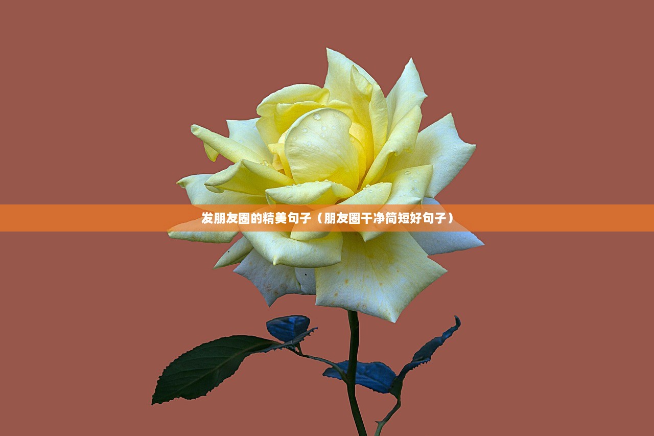 发朋友圈的精美句子（朋友圈干净简短好句子）