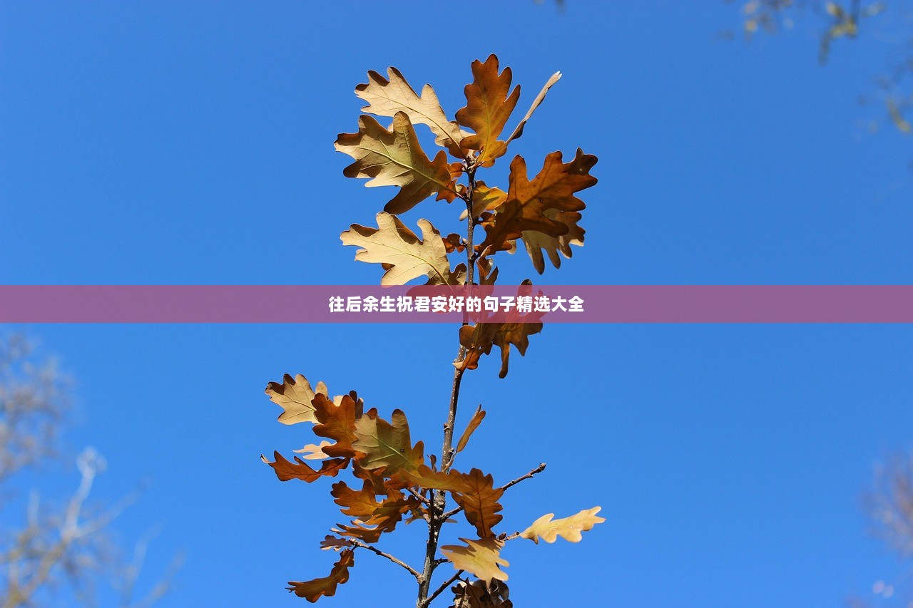 往后余生祝君安好的句子精选大全