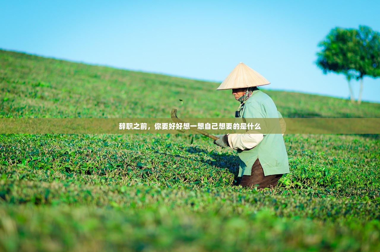 辞职之前，你要好好想一想自己想要的是什么
