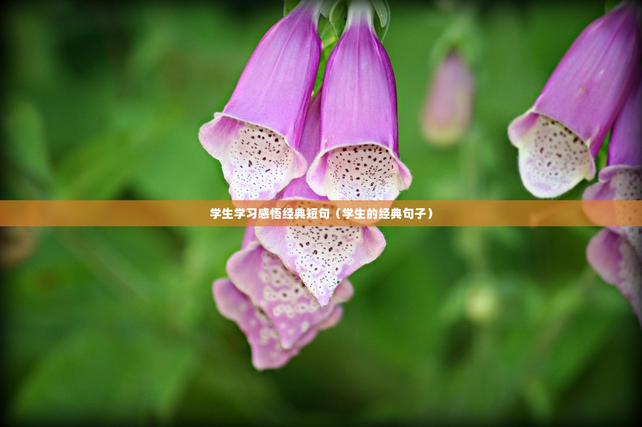 学生学习感悟经典短句（学生的经典句子）