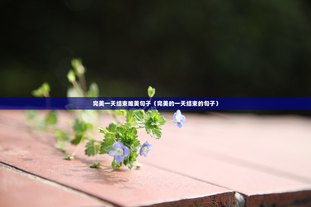 完美一天结束唯美句子（完美的一天结束的句子）