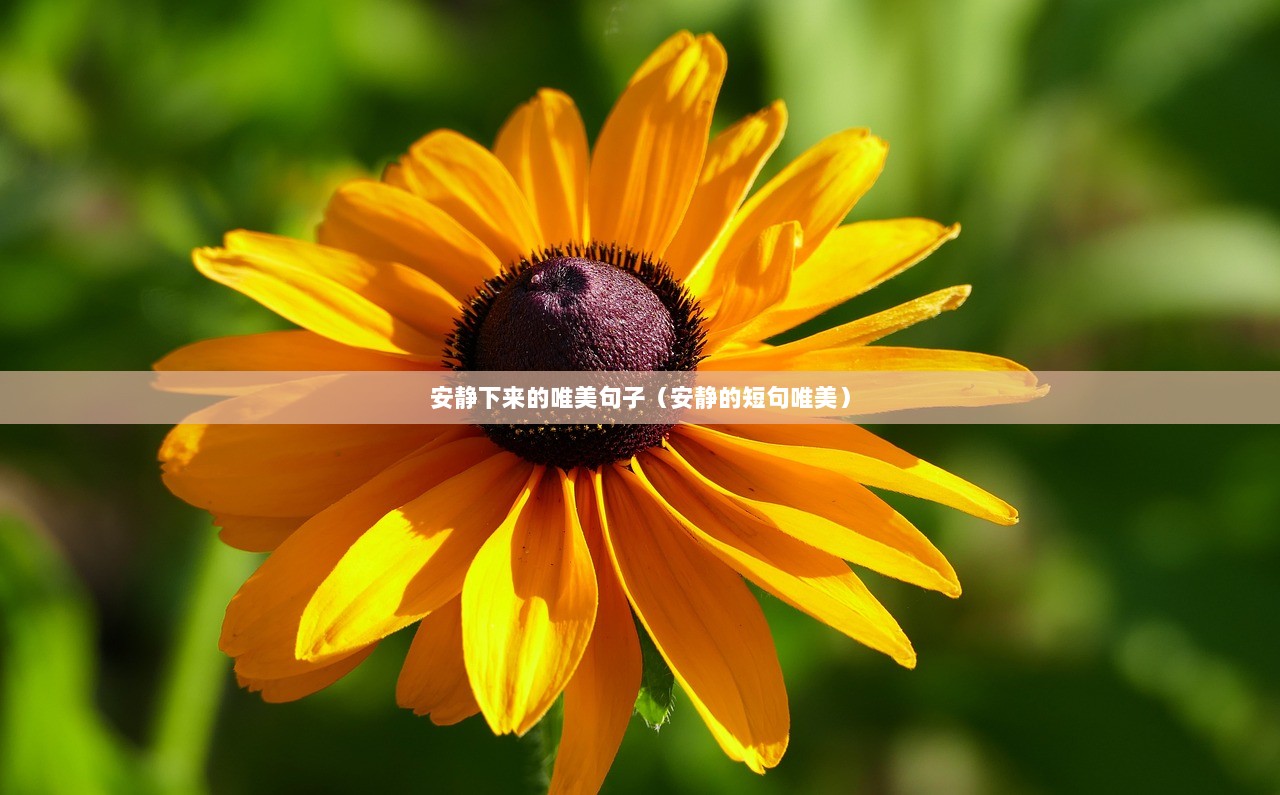 安静下来的唯美句子（安静的短句唯美）