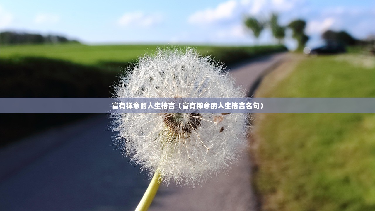 富有禅意的人生格言（富有禅意的人生格言名句）