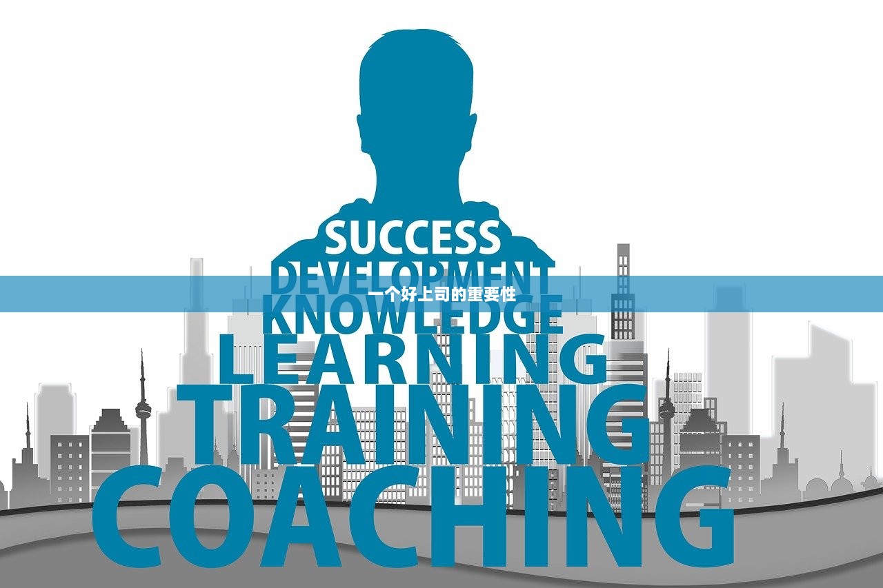 一个好上司的重要性  第1张