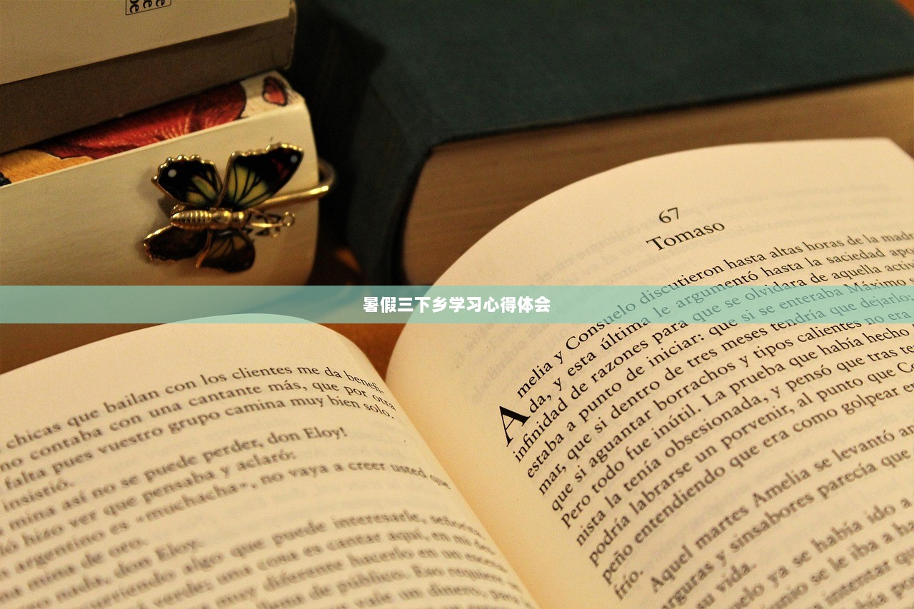 暑假三下乡学习心得体会