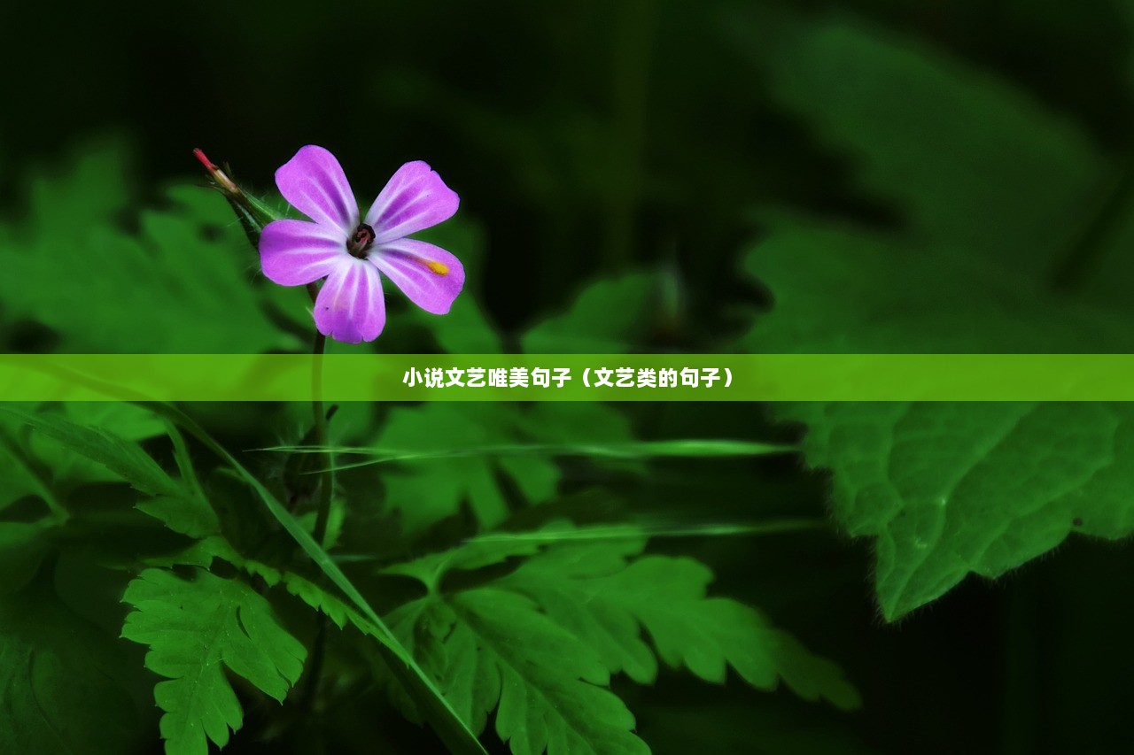 小说文艺唯美句子（文艺类的句子）