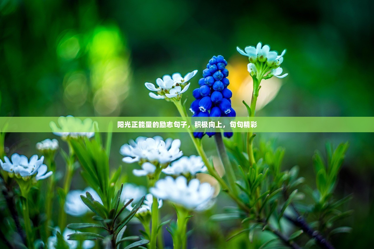 阳光正能量的励志句子，积极向上，句句精彩