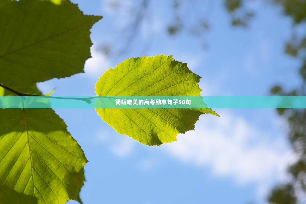 简短唯美的高考励志句子50句