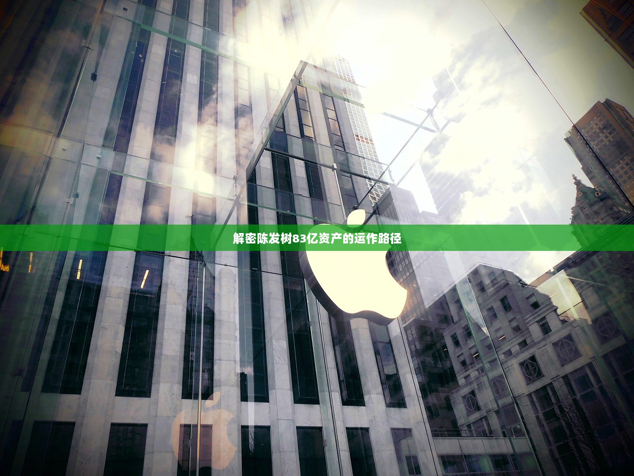 解密陈发树83亿资产的运作路径