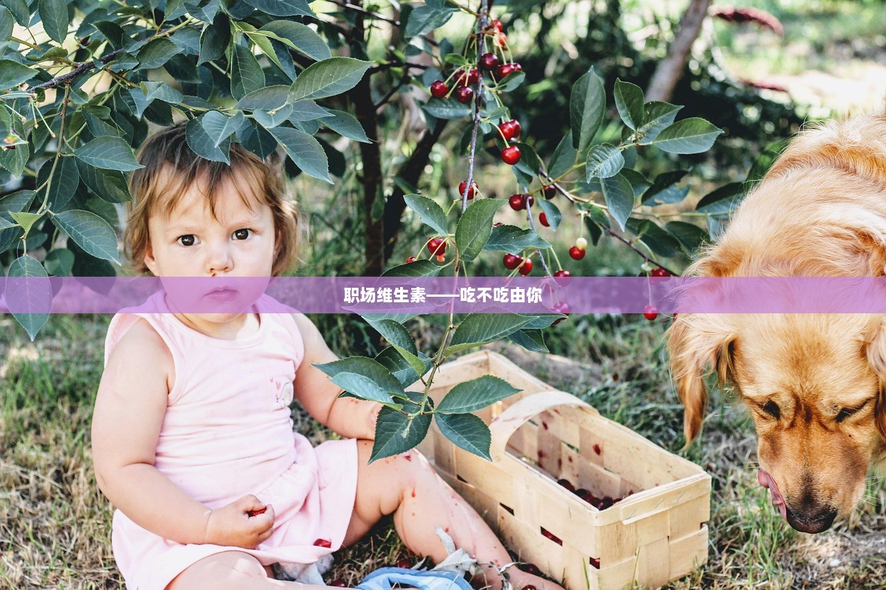 职场维生素——吃不吃由你