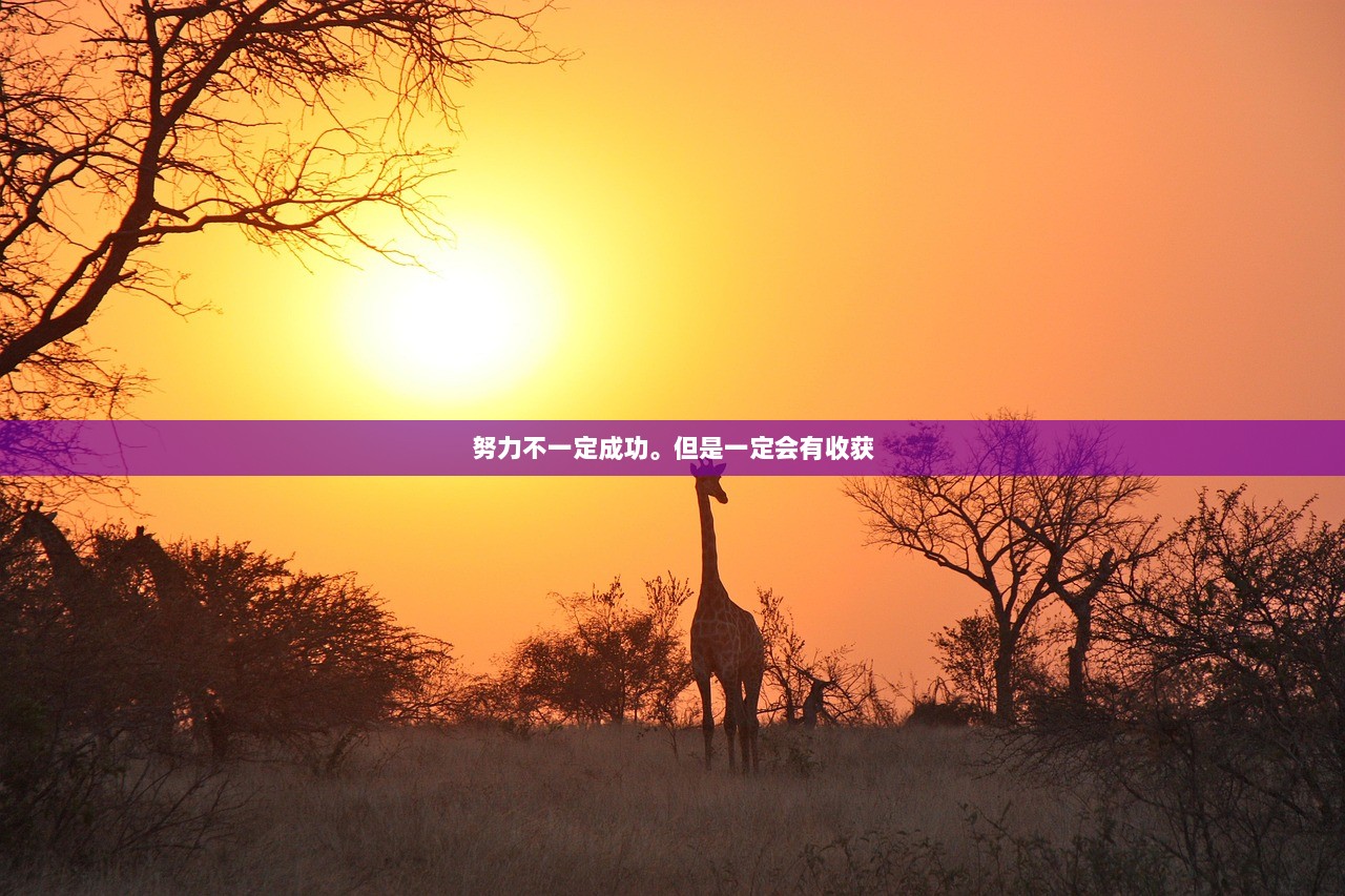 努力不一定成功。但是一定会有收获  第1张