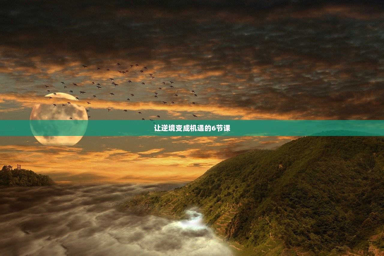 让逆境变成机遇的6节课