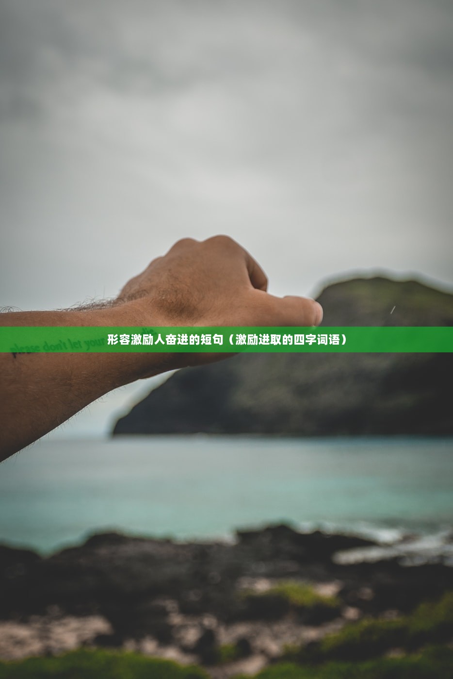 形容激励人奋进的短句（激励进取的四字词语）