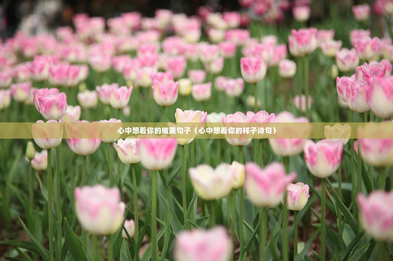 心中想着你的唯美句子（心中想着你的样子诗句）