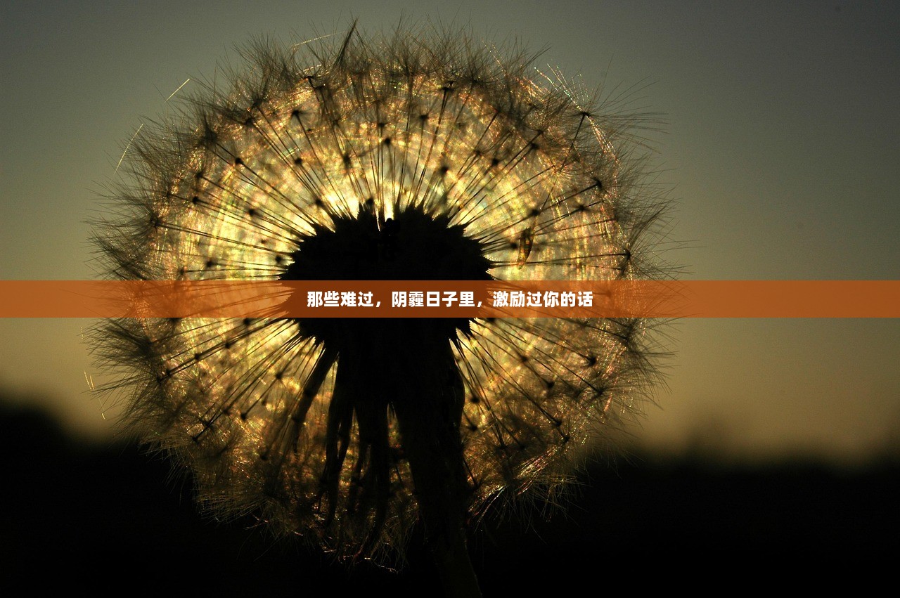 那些难过，阴霾日子里，激励过你的话