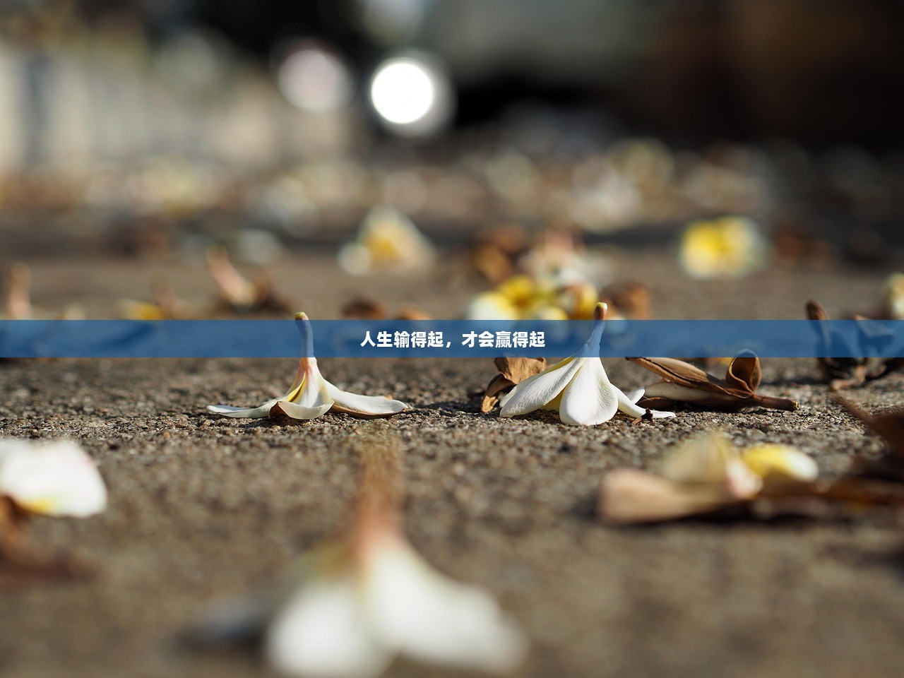 人生输得起，才会赢得起