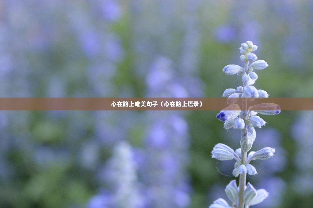 心在路上唯美句子（心在路上语录）