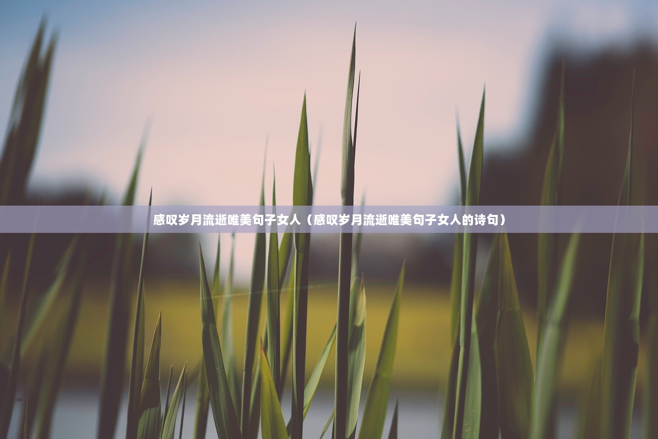 感叹岁月流逝唯美句子女人（感叹岁月流逝唯美句子女人的诗句）