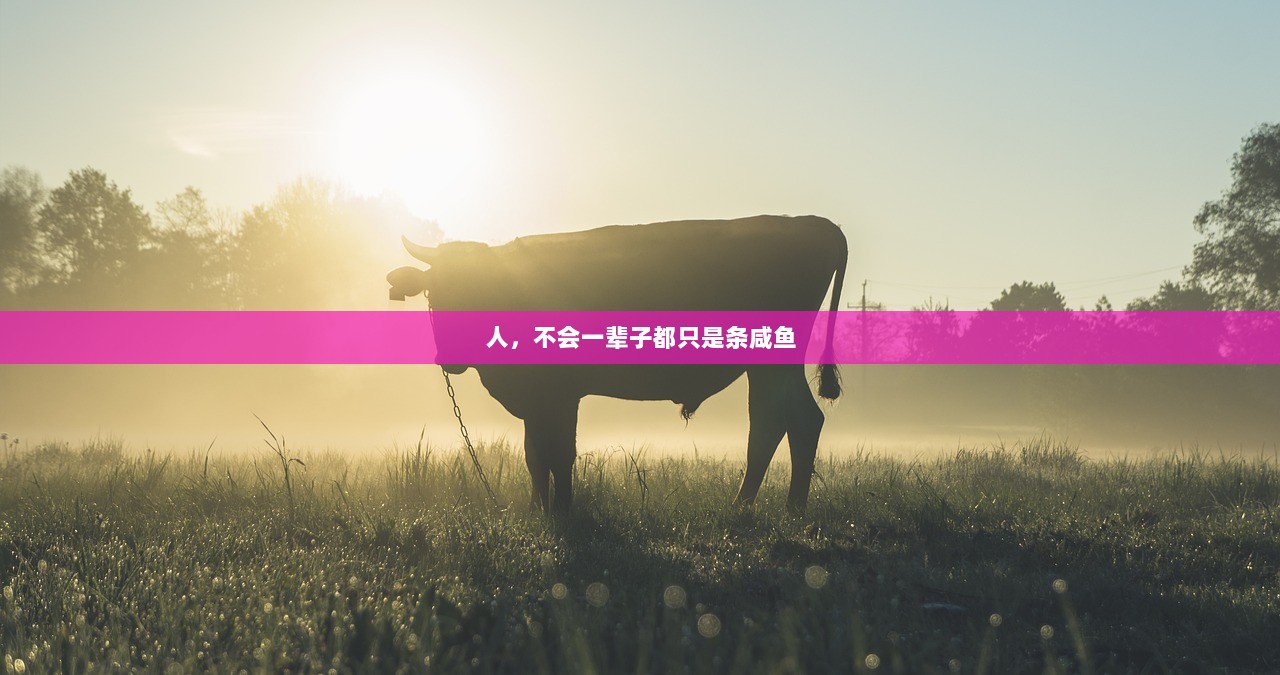 人，不会一辈子都只是条咸鱼