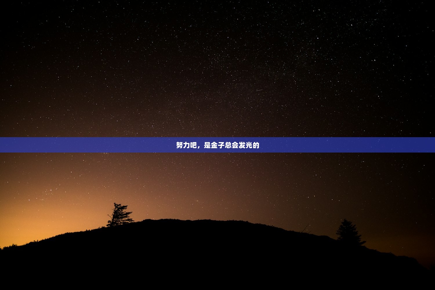 努力吧，是金子总会发光的