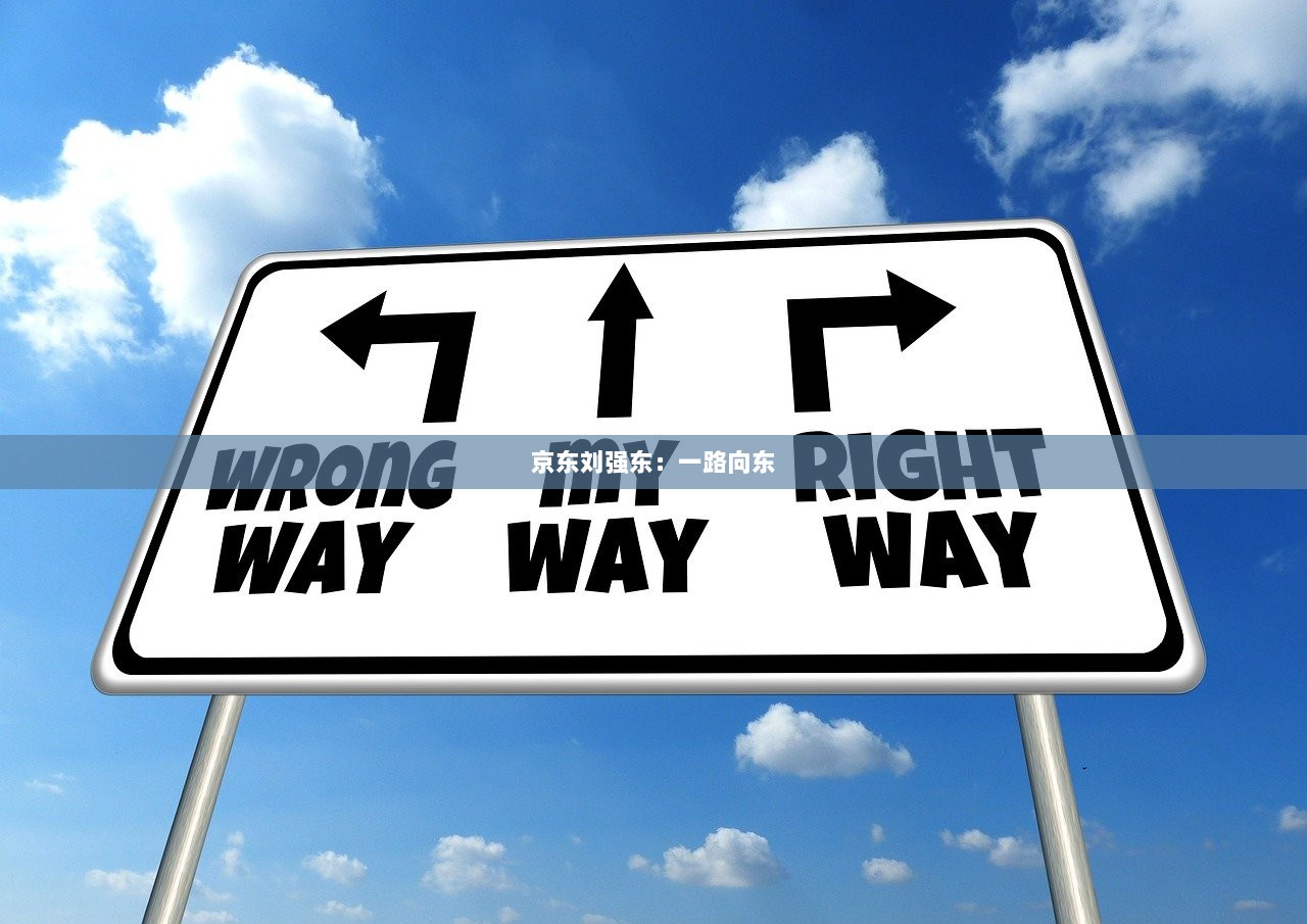 京东刘强东：一路向东