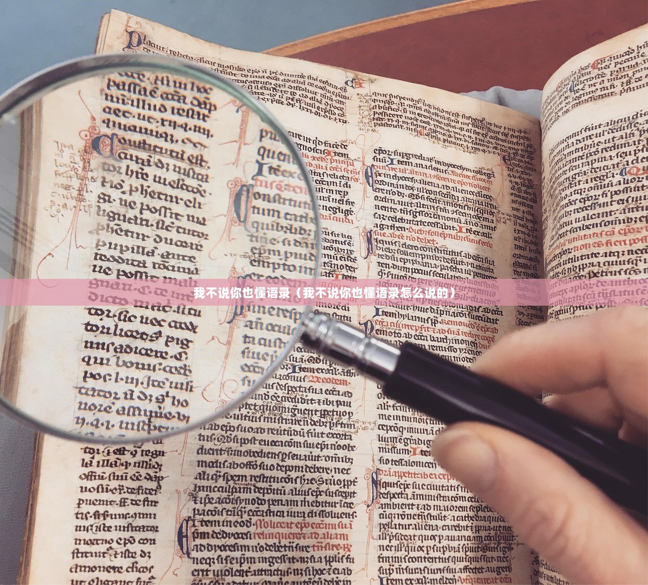 我不说你也懂语录（我不说你也懂语录怎么说的）