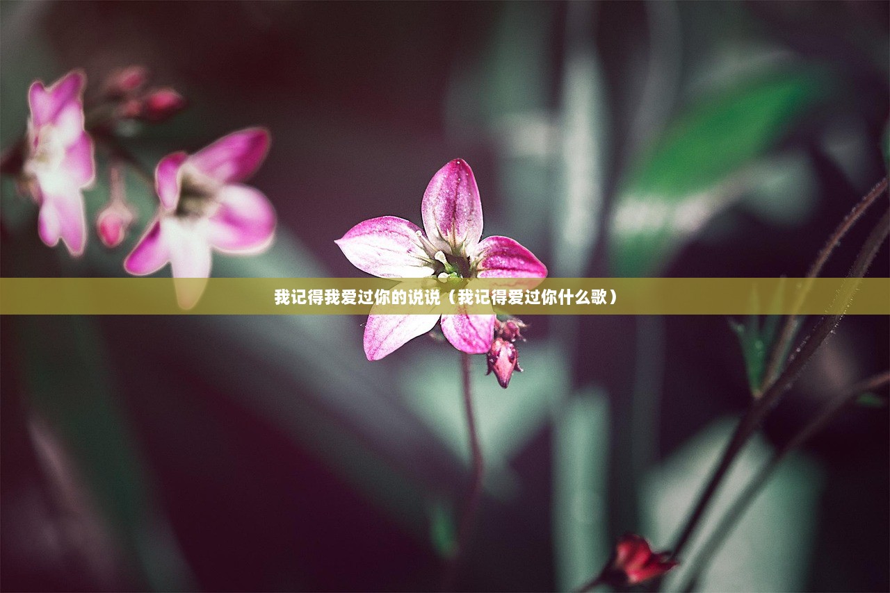 我记得我爱过你的说说（我记得爱过你什么歌）