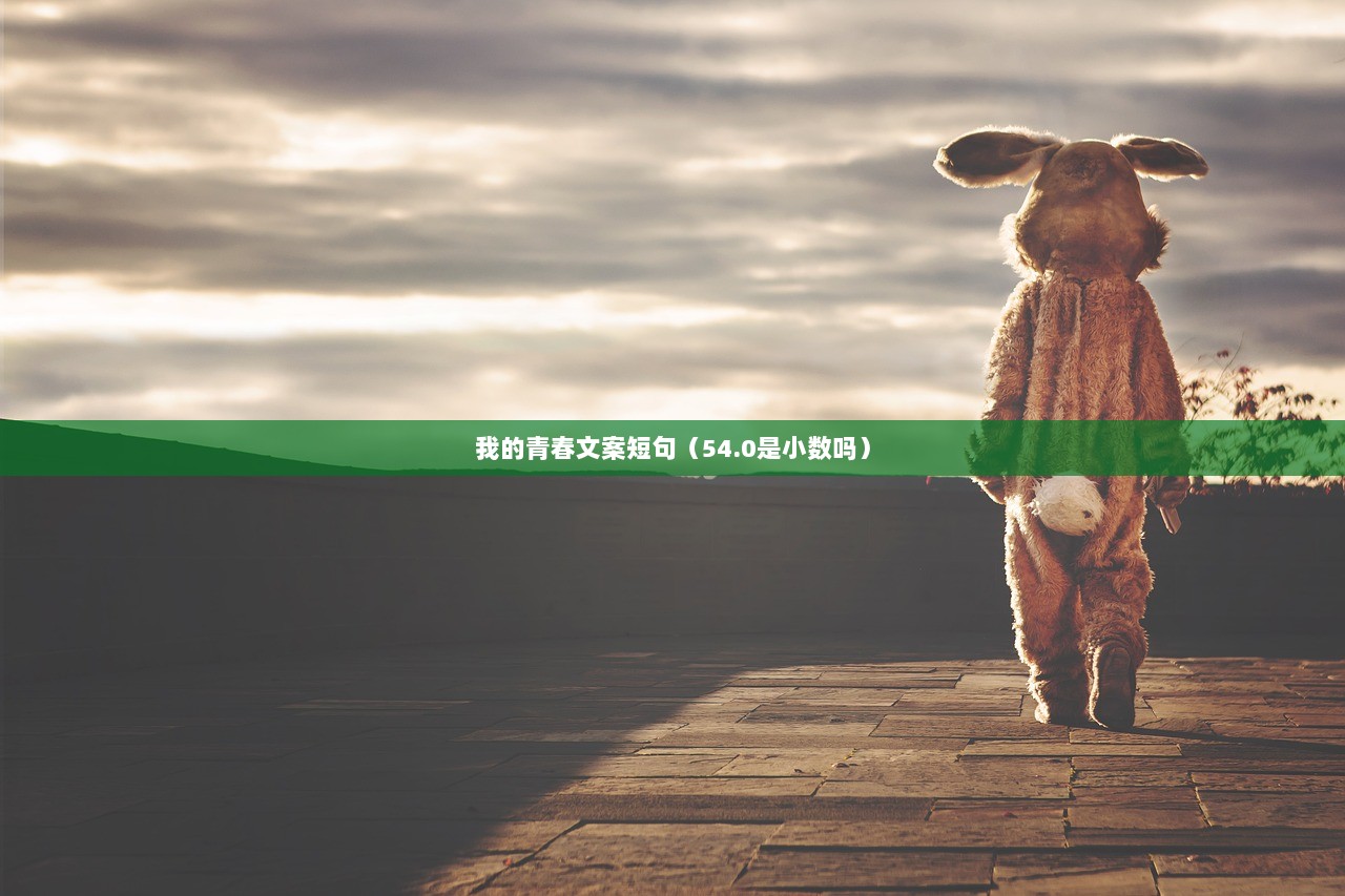 我的青春文案短句（54.0是小数吗）