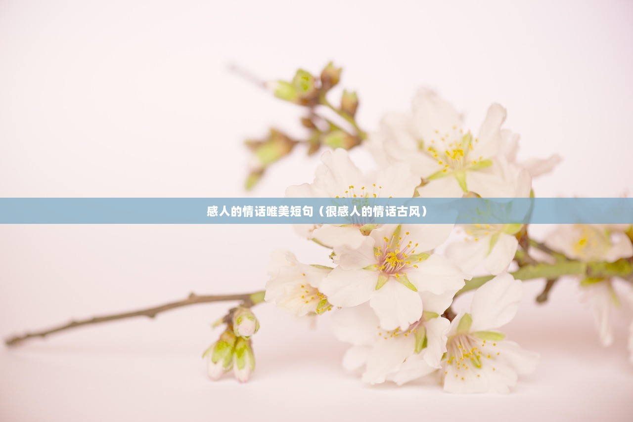 感人的情话唯美短句（很感人的情话古风）
