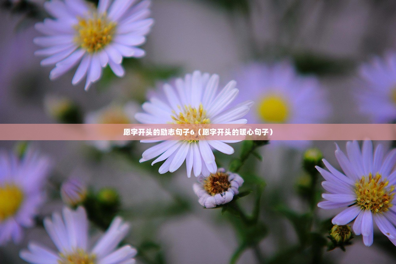 愿字开头的励志句子6（愿字开头的暖心句子）