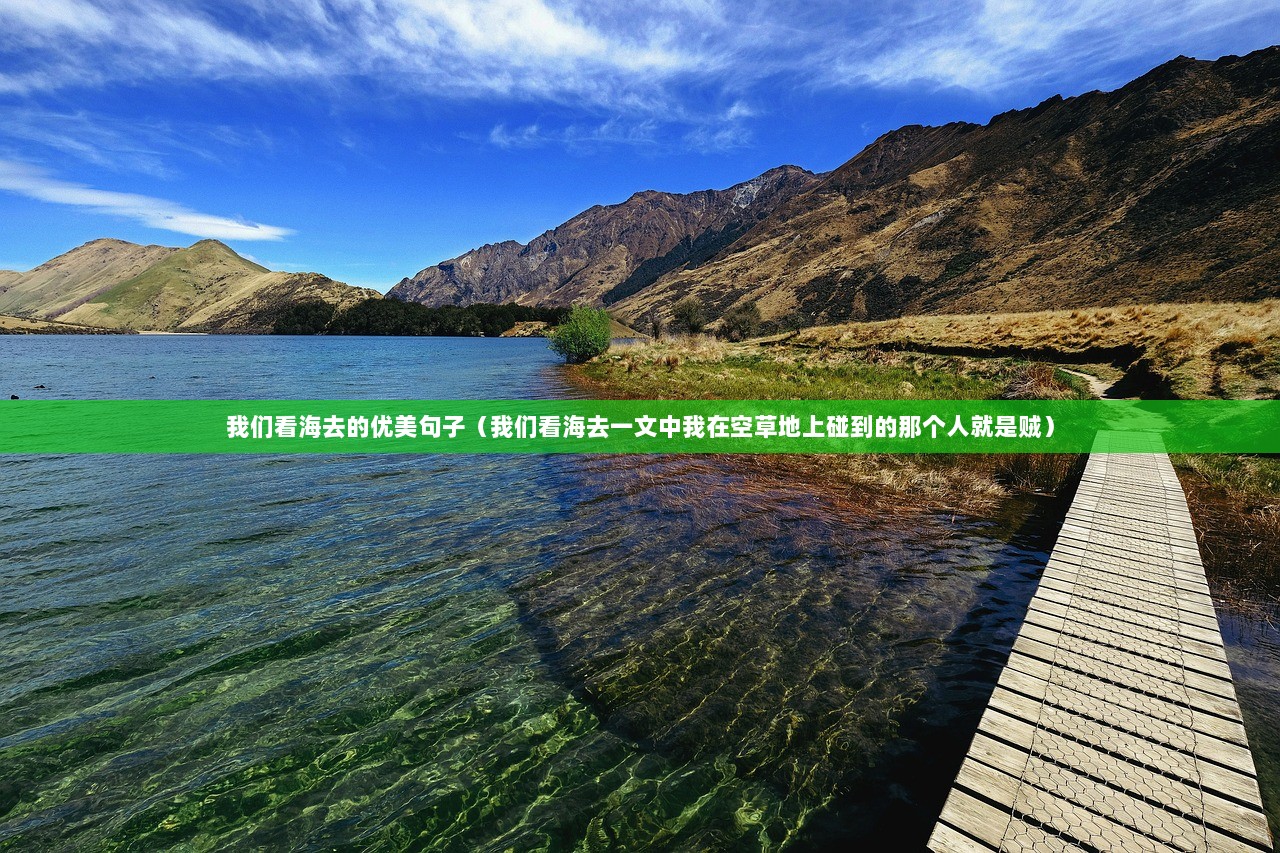 我们看海去的优美句子（我们看海去一文中我在空草地上碰到的那个人就是贼）