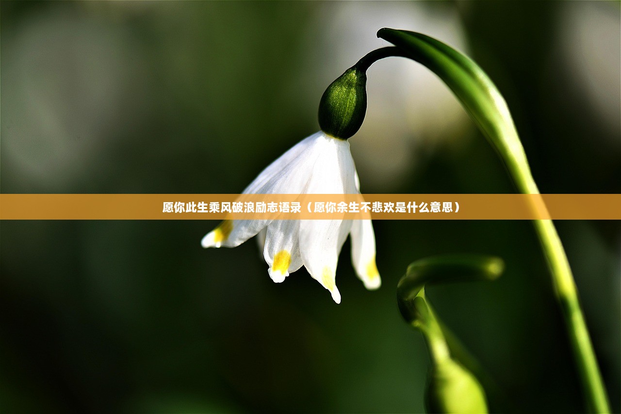 愿你此生乘风破浪励志语录（愿你余生不悲欢是什么意思）