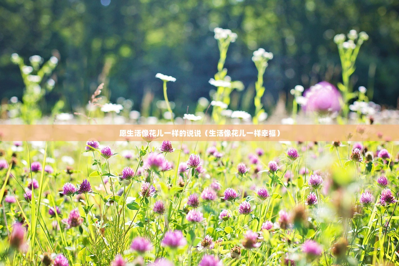 愿生活像花儿一样的说说（生活像花儿一样幸福）