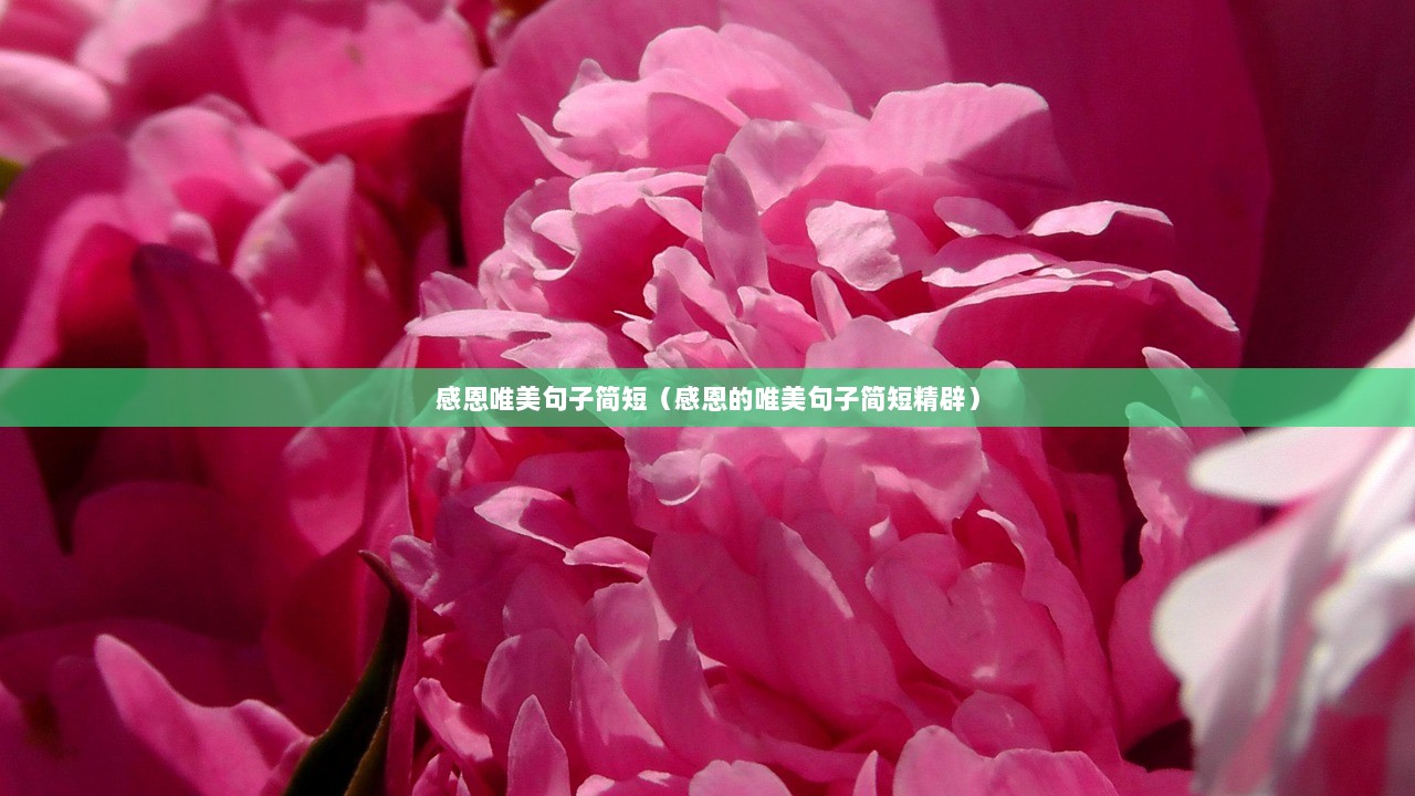 感恩唯美句子简短（感恩的唯美句子简短精辟）