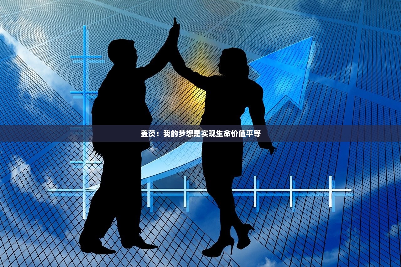 盖茨：我的梦想是实现生命价值平等