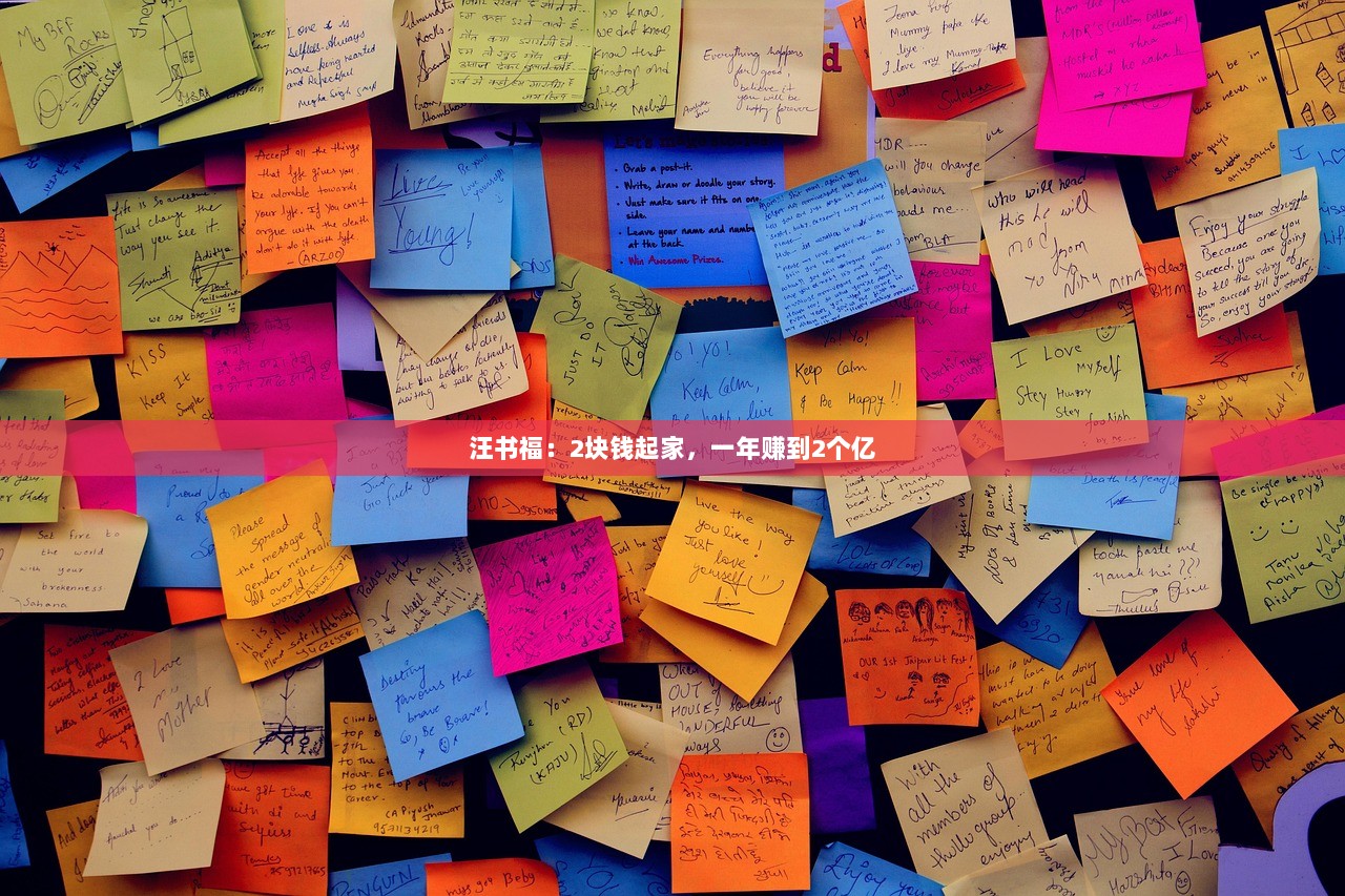 汪书福：2块钱起家，一年赚到2个亿