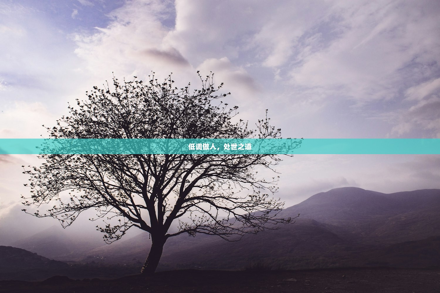 低调做人，处世之道