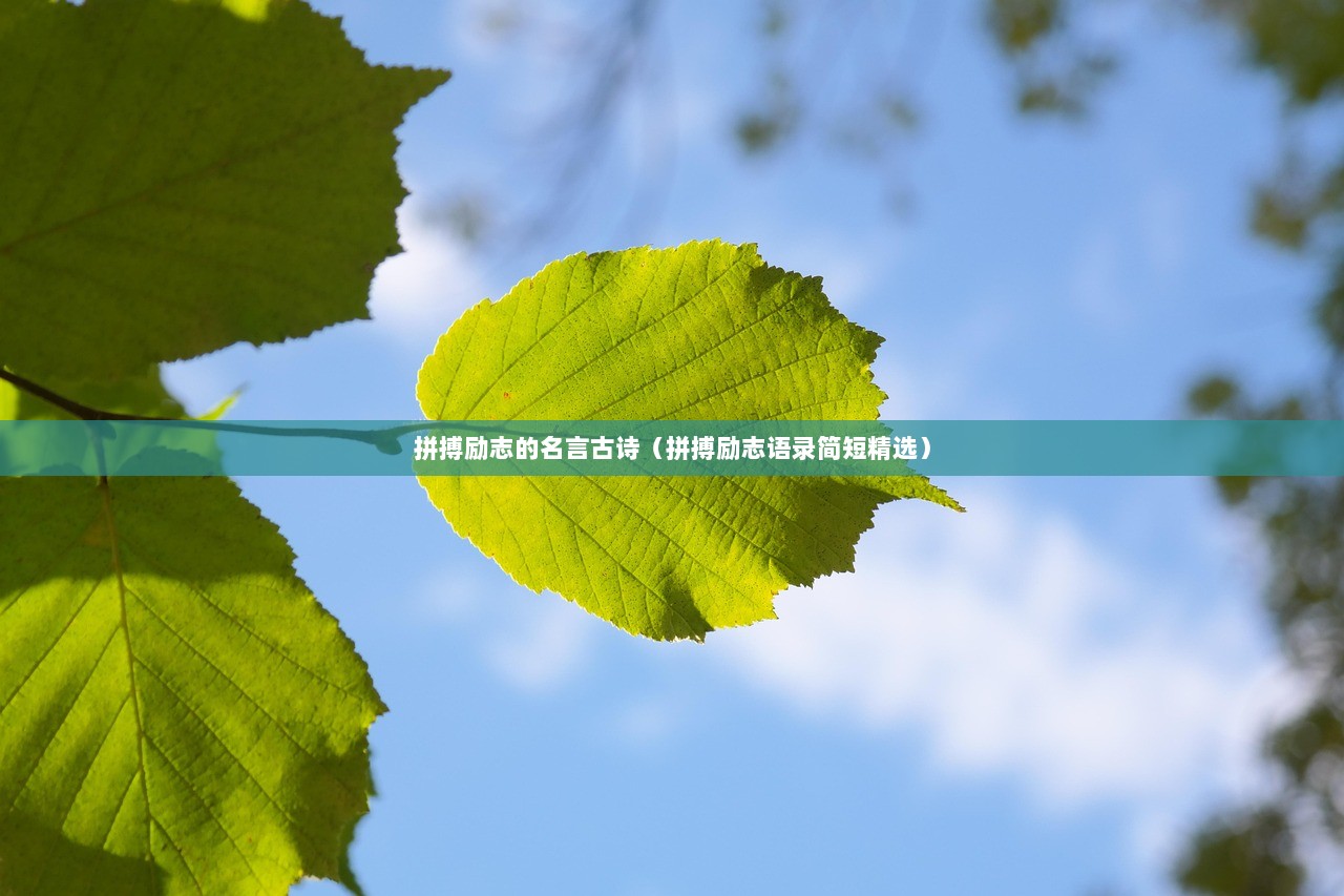 拼搏励志的名言古诗（拼搏励志语录简短精选）