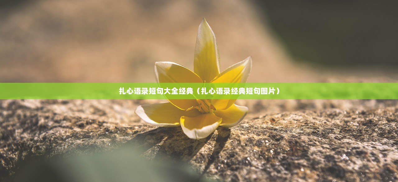 扎心语录短句大全经典（扎心语录经典短句图片）